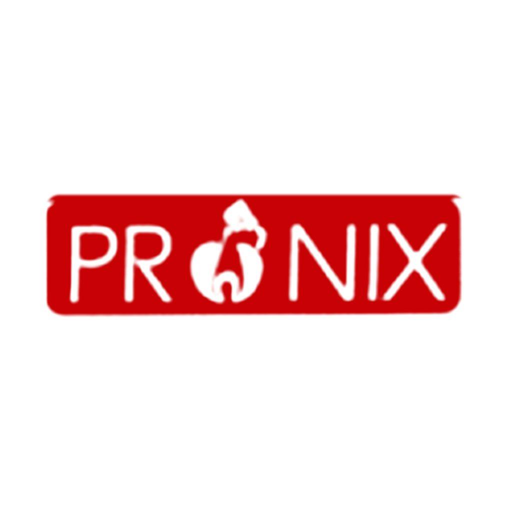 pronix Group logo HQ